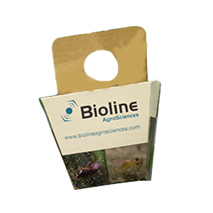 Universal Release Box – 50 per pack - Biological Control